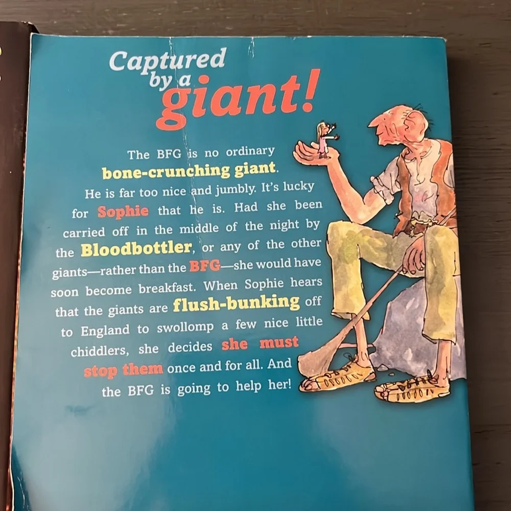 Lot of 2 Books Everland and The BFG Books Paperback EUC